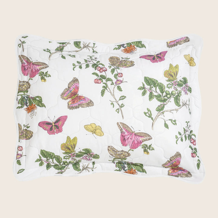 Baudin Butterfly Percale Quilted Sham, Pink