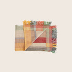 Image for Multi Stripe Throw