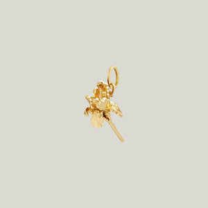 Image for Paris Iris Charm: City of Light and Love