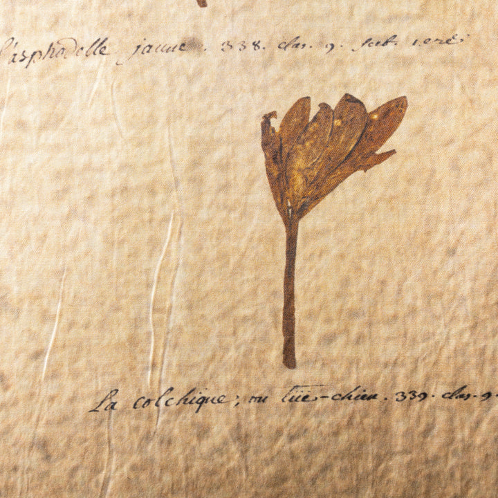Image for Quinzio Pillow
