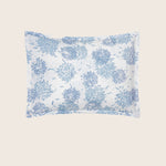 Image for Chrysanthemum Sham