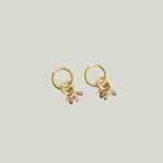 Image for Diamond Briolette Hoops