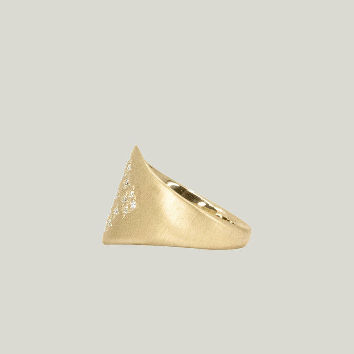 Image for Moon and Stars Shield Ring