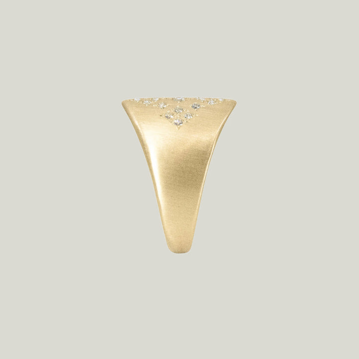 Image for Moon and Stars Shield Ring