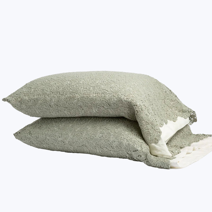Image for Allora Lace Pillowcase