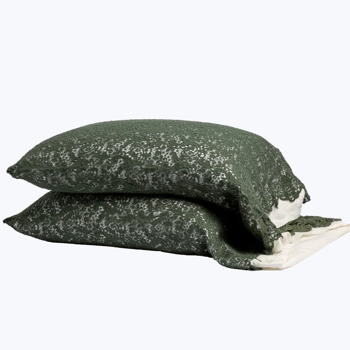 Image for Allora Lace Pillowcase