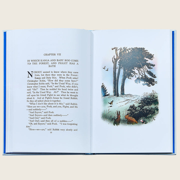 Image for Winnie The Pooh Leather Bound Classic Children's Book