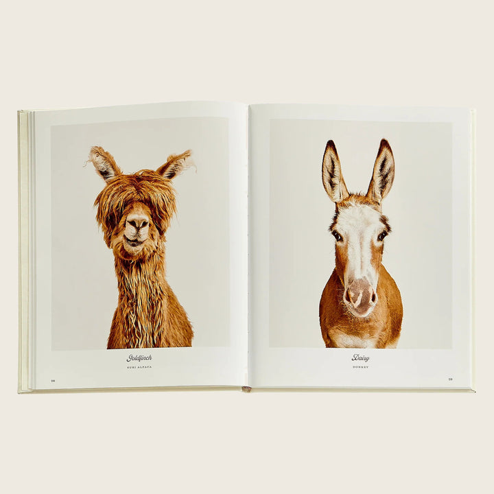 Image for Farm Life: A Collection of Animal Portraits by Randal Ford