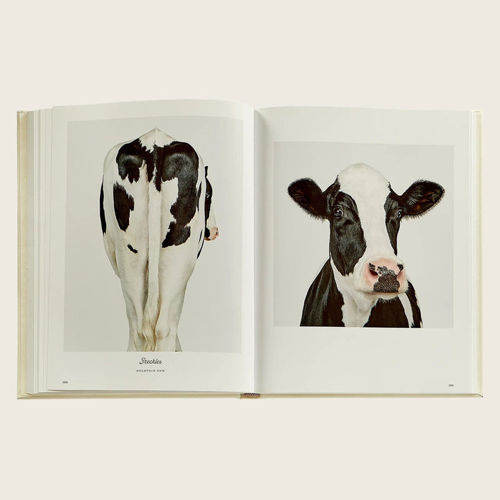 Image for Farm Life: A Collection of Animal Portraits by Randal Ford