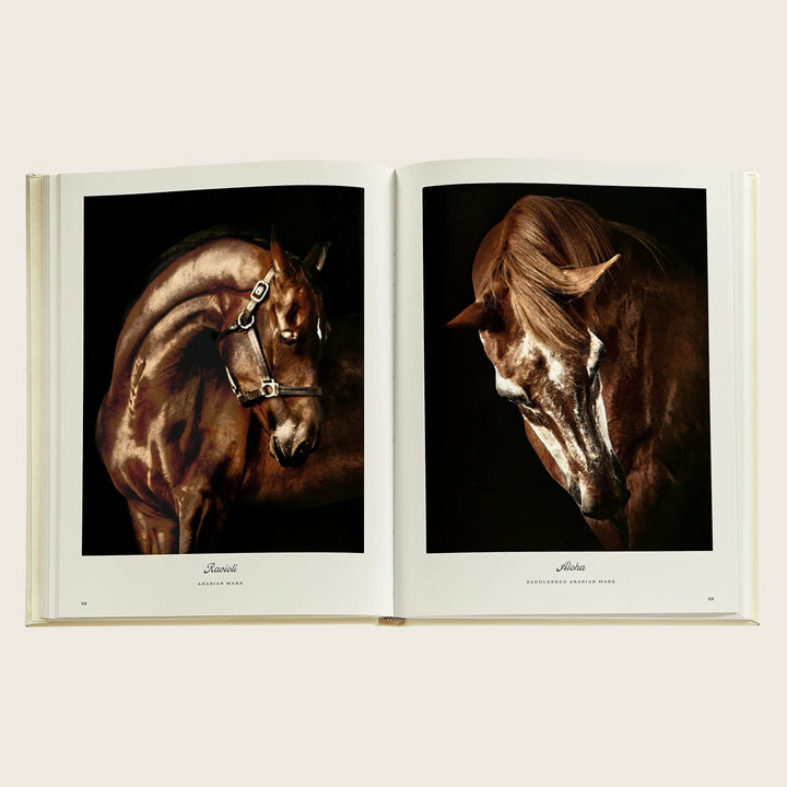 Image for Farm Life: A Collection of Animal Portraits by Randal Ford