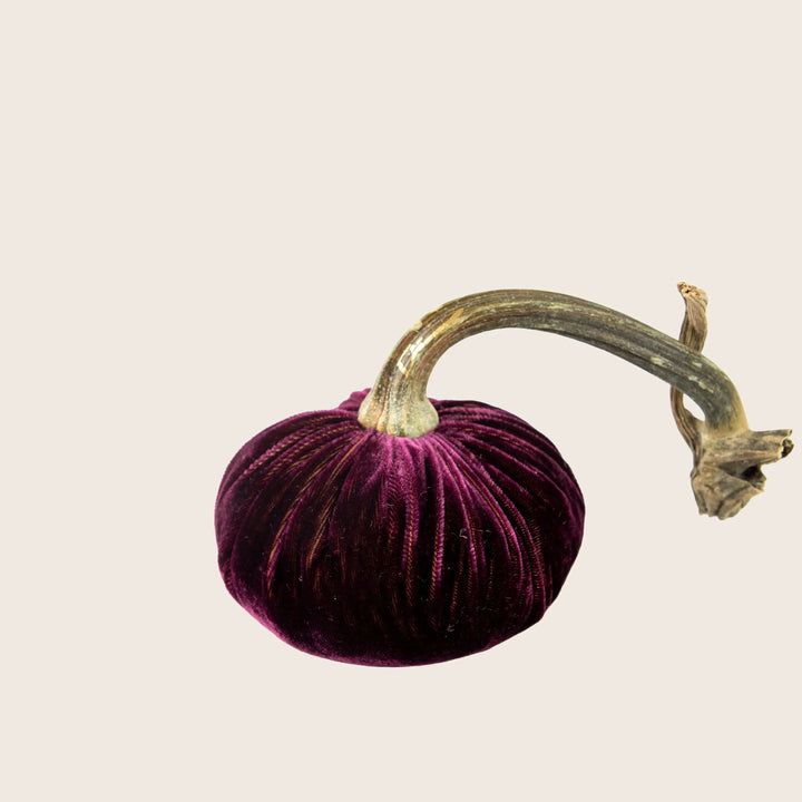 Image for Silk Velvet Pumpkin