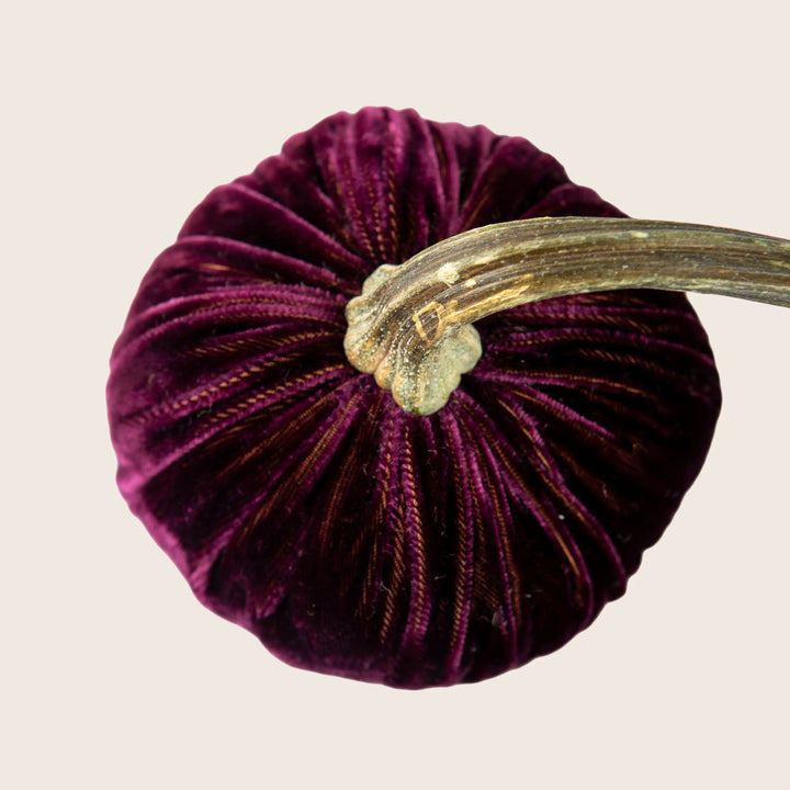 Image for Silk Velvet Pumpkin