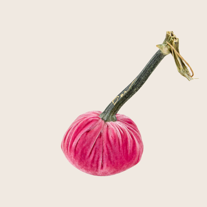 Image for Silk Velvet Pumpkin