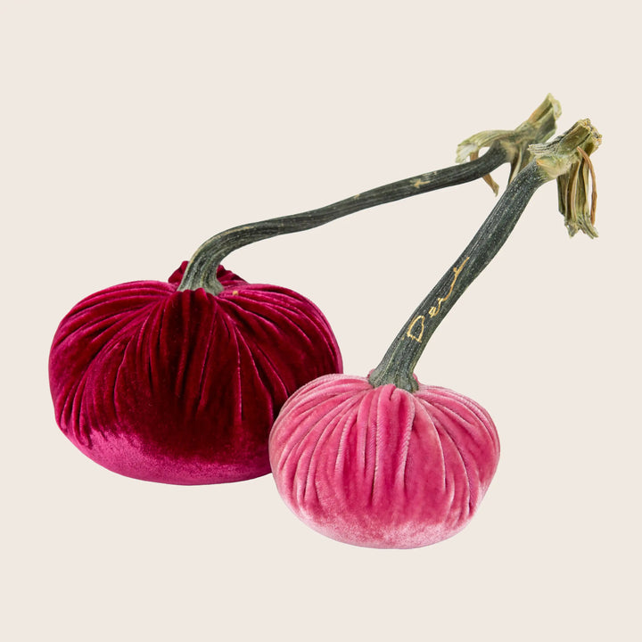 Image for Silk Velvet Pumpkin