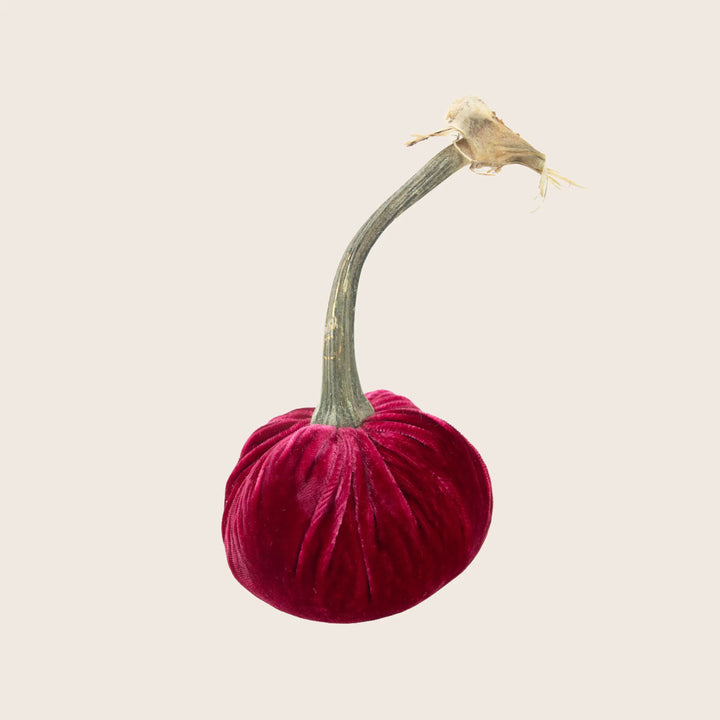 Image for Silk Velvet Pumpkin