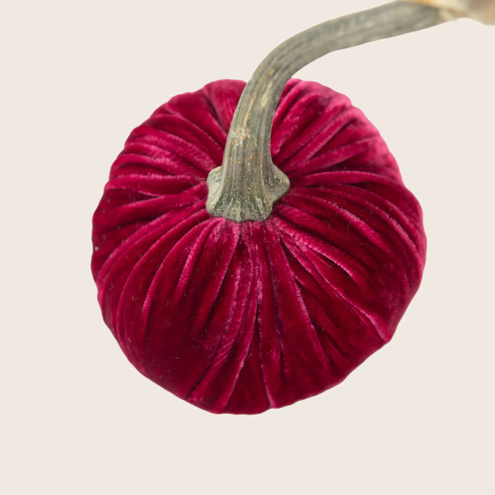 Image for Silk Velvet Pumpkin