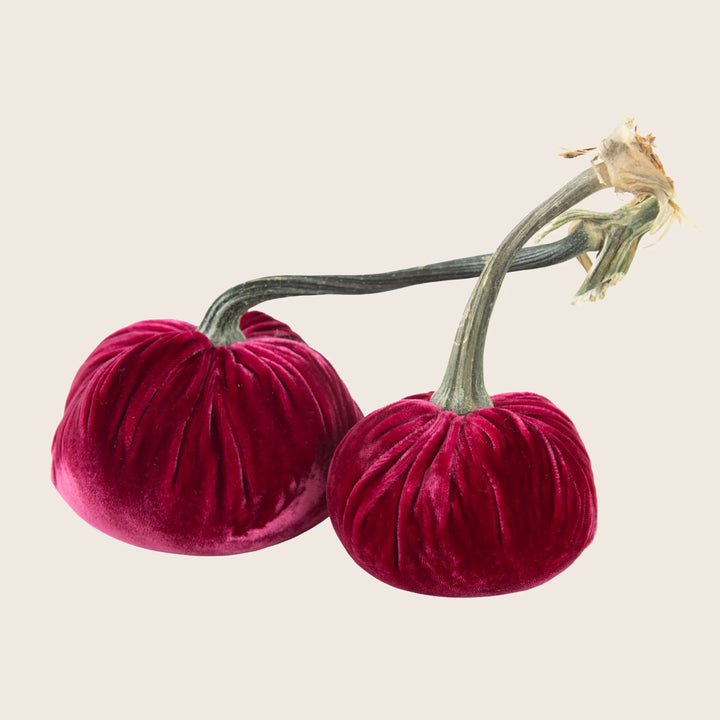 Image for Silk Velvet Pumpkin