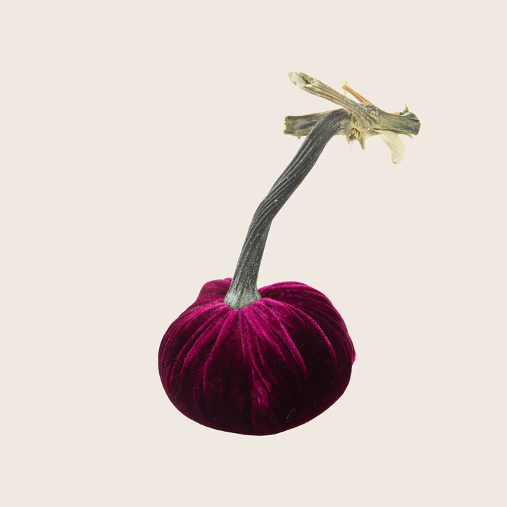 Image for Silk Velvet Pumpkin