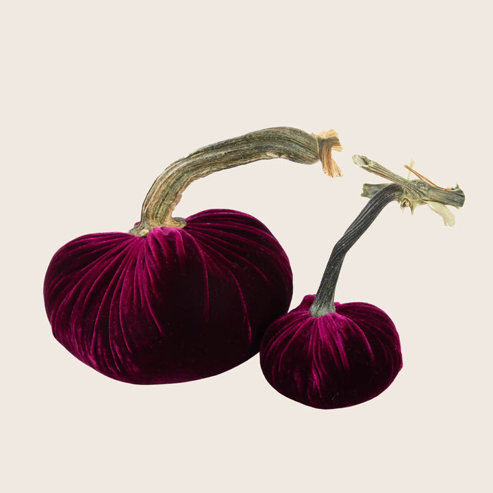 Image for Silk Velvet Pumpkin