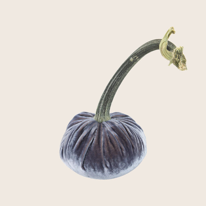 Image for Silk Velvet Pumpkin