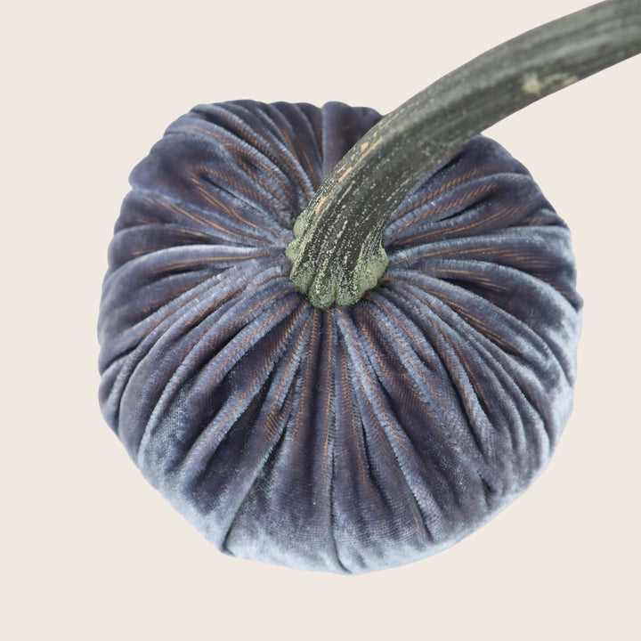 Image for Silk Velvet Pumpkin