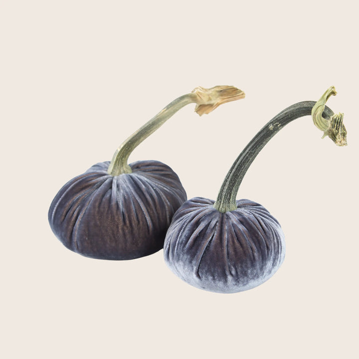 Image for Silk Velvet Pumpkin
