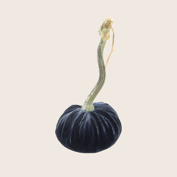 Image for Silk Velvet Pumpkin