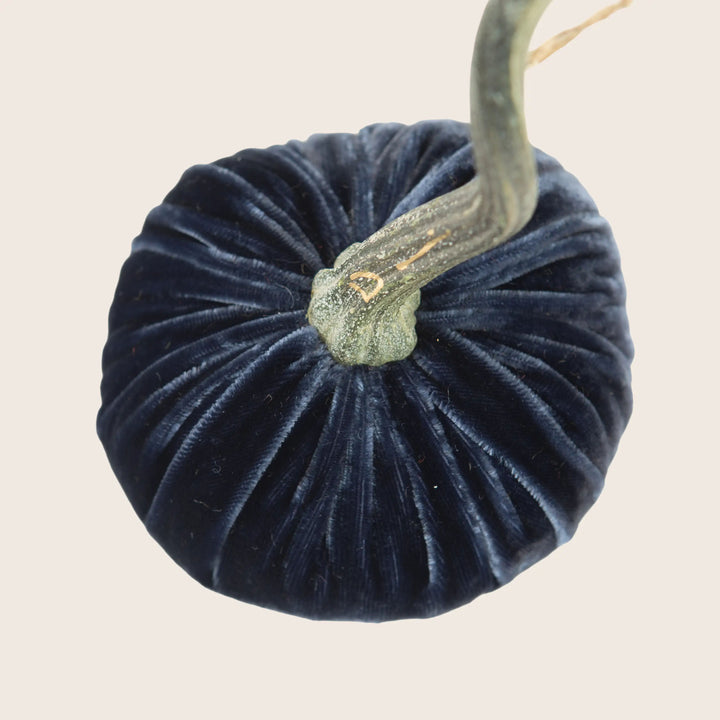 Image for Silk Velvet Pumpkin