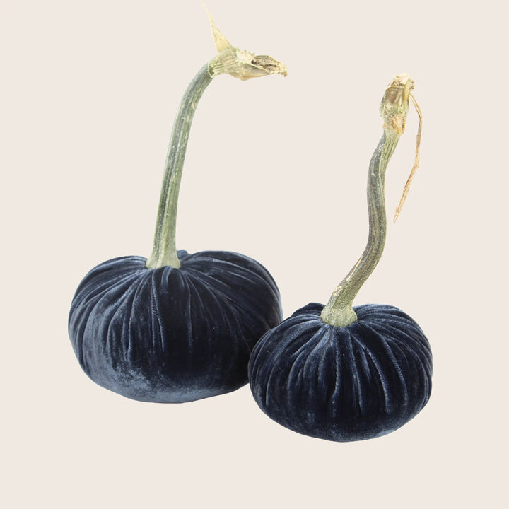 Image for Silk Velvet Pumpkin