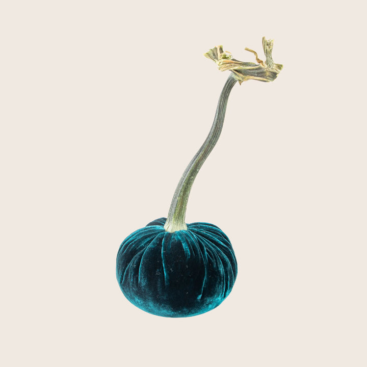 Image for Silk Velvet Pumpkin
