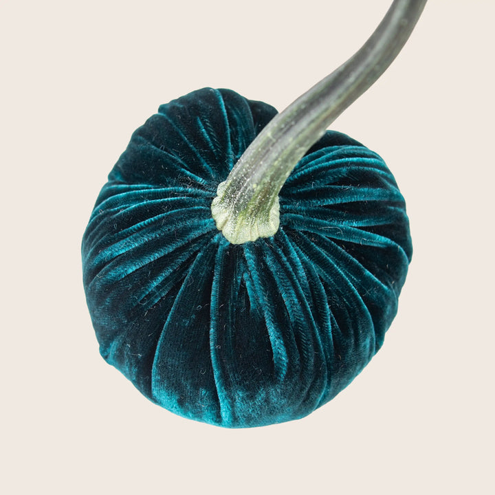 Image for Silk Velvet Pumpkin