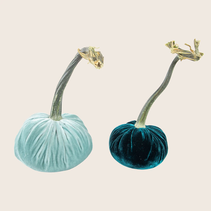 Image for Silk Velvet Pumpkin