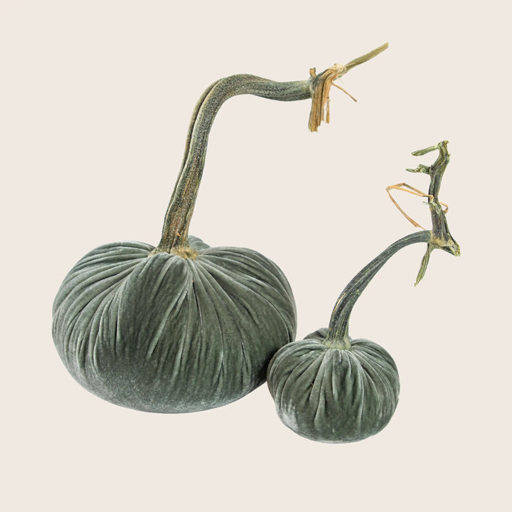 Image for Silk Velvet Pumpkin