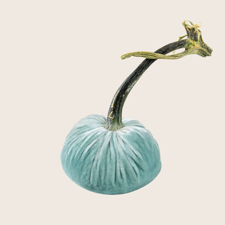 Image for Silk Velvet Pumpkin