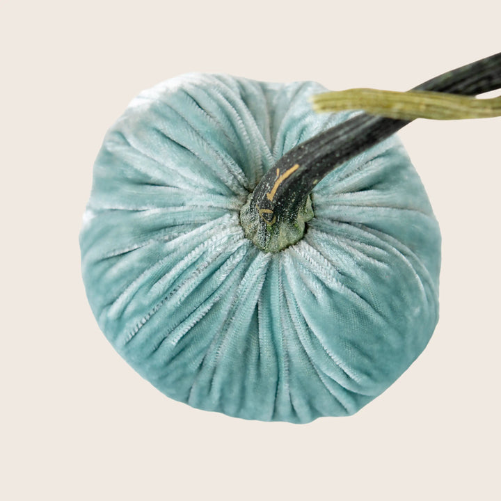 Image for Silk Velvet Pumpkin