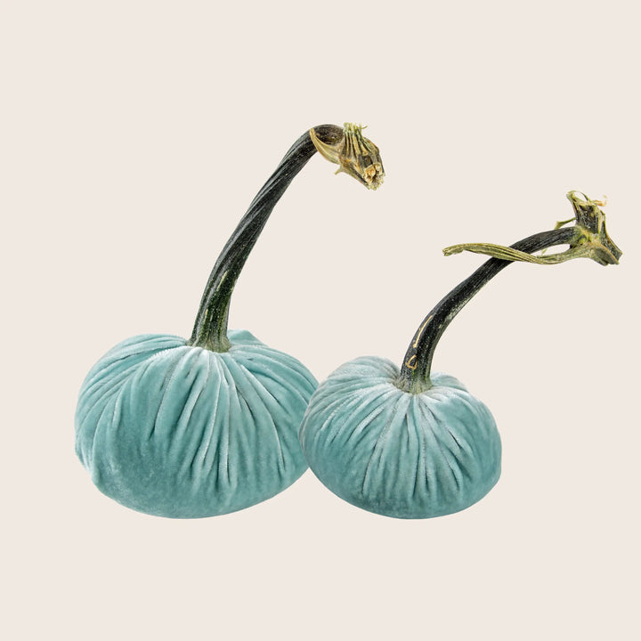 Image for Silk Velvet Pumpkin