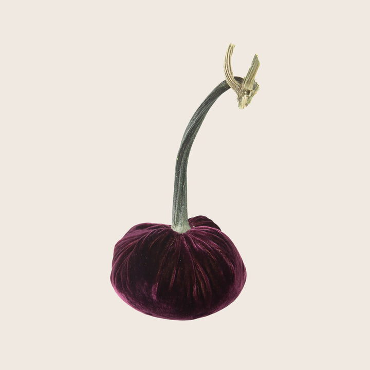 Image for Silk Velvet Pumpkin