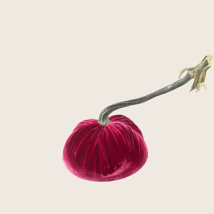 Image for Silk Velvet Pumpkin