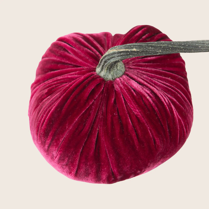 Image for Silk Velvet Pumpkin