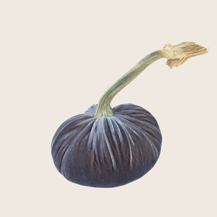 Image for Silk Velvet Pumpkin