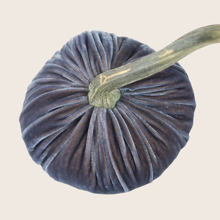 Image for Silk Velvet Pumpkin