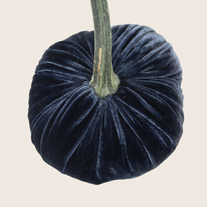 Image for Silk Velvet Pumpkin