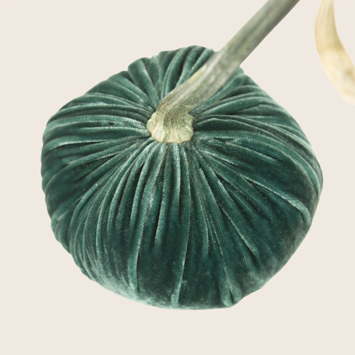 Image for Silk Velvet Pumpkin