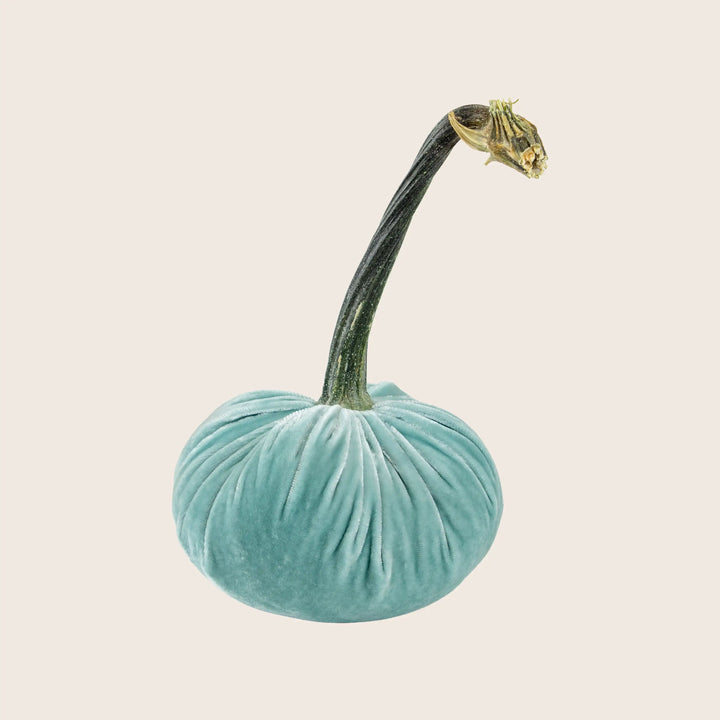 Image for Silk Velvet Pumpkin