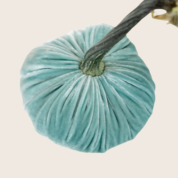 Image for Silk Velvet Pumpkin