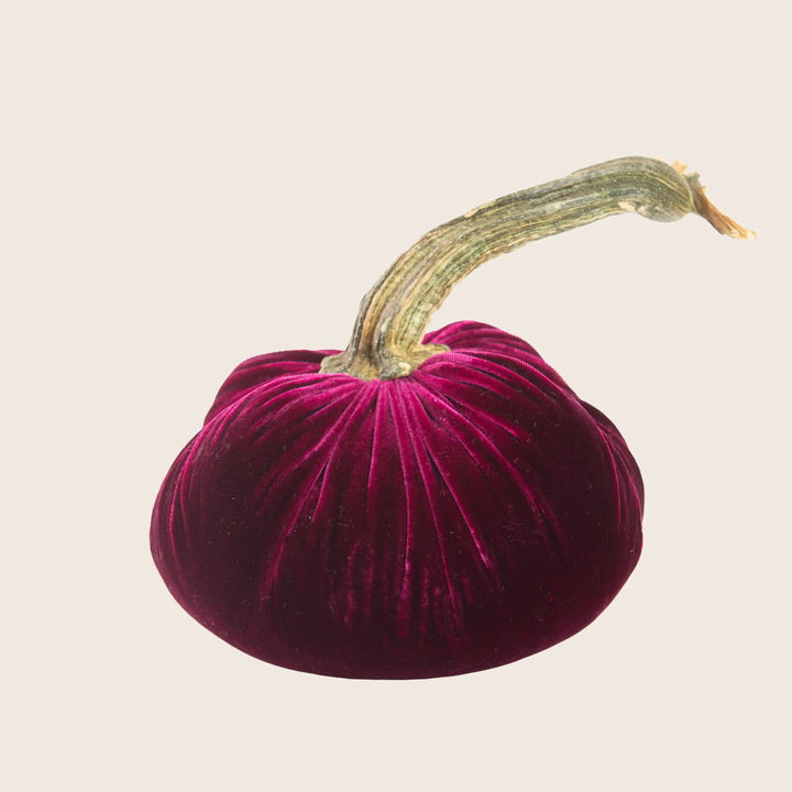 Image for Silk Velvet Pumpkin