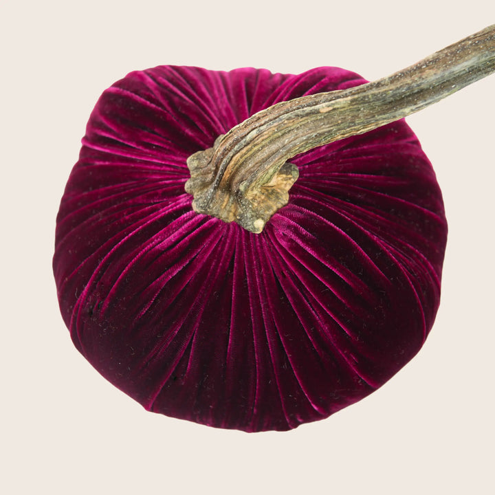 Image for Silk Velvet Pumpkin