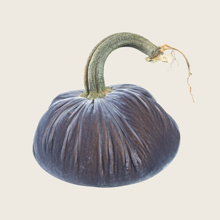 Silk Velvet Pumpkin