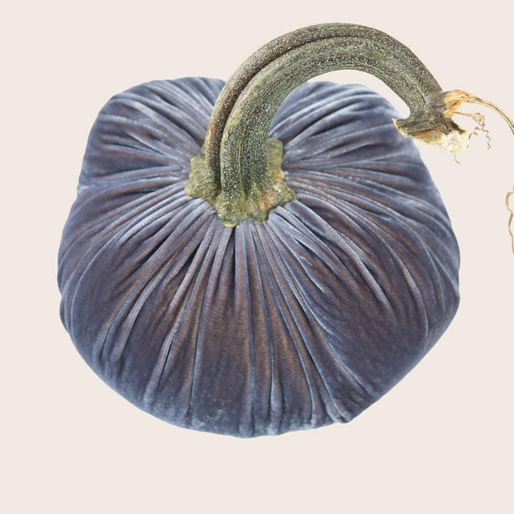 Image for Silk Velvet Pumpkin