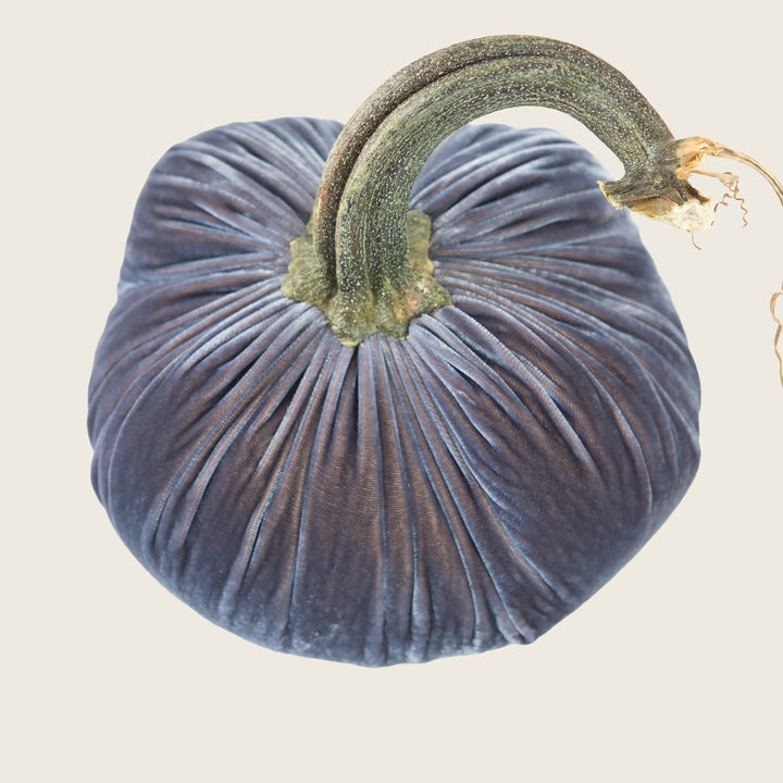 Silk Velvet Pumpkin